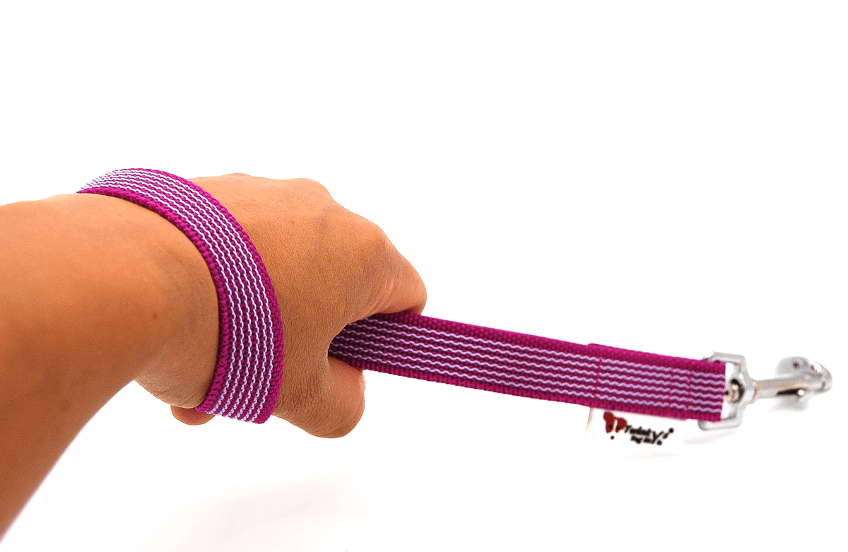 Kurzführer Hundeleine Handschlaufe gummiert 20 mm breit 35 cm lang verschiedene Farben