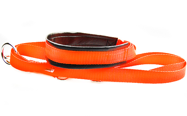 Zug Stopp Halsband orange Set mit verstellbarer Leine