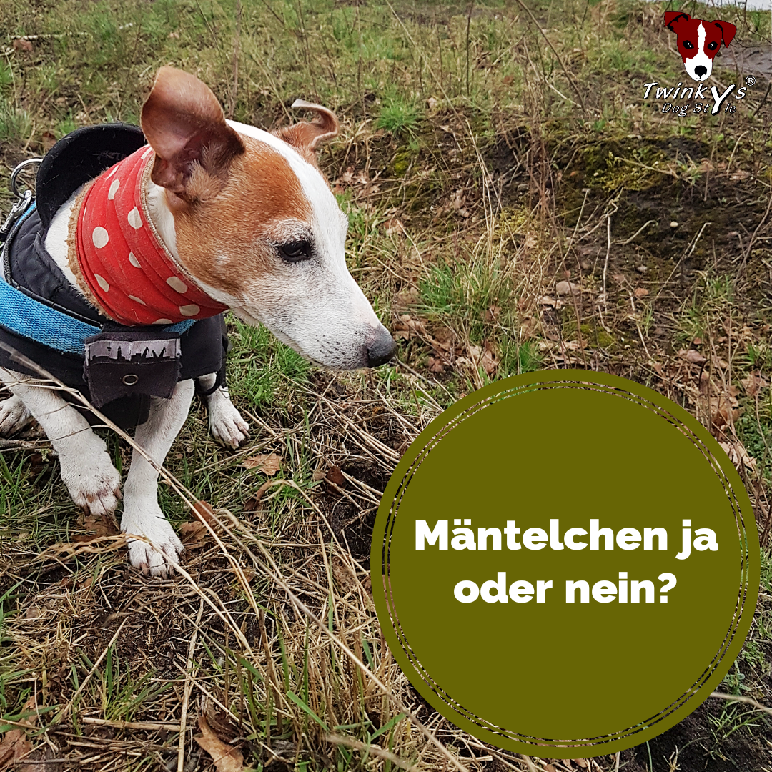 Mäntelchen-ja-oder-nein-Magazin